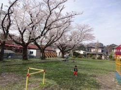 旭川清澄町公園で