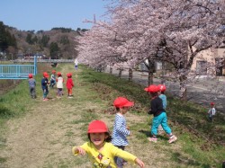 春　旭川土手のお花見