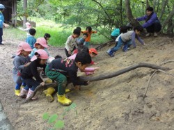 木の根っこにつかまろう!！