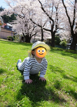 ハイハイで芝生の感触を楽しみます。