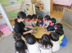 おいしくな～れ♪の大合唱