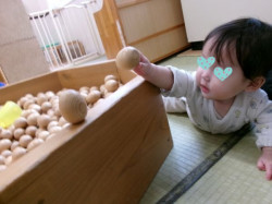 両手でしっかり体を支え、ぐいっと上半身を持ち上げてのぞき込む姿が見られました。