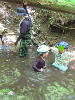 沢の中に「ジャボーン！！！」