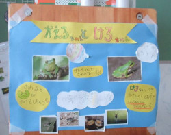 いろいろ調べてみたよ～どうお世話したいいのかな？