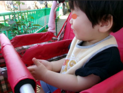 思わず拍手して、嬉しそうな表情に。
